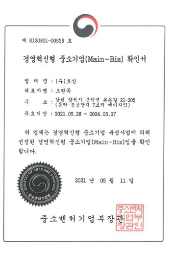 메인비즈 인증서 샘플